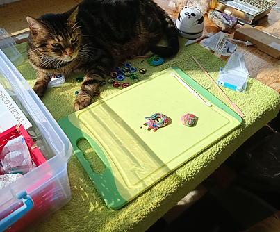 Kater Stich