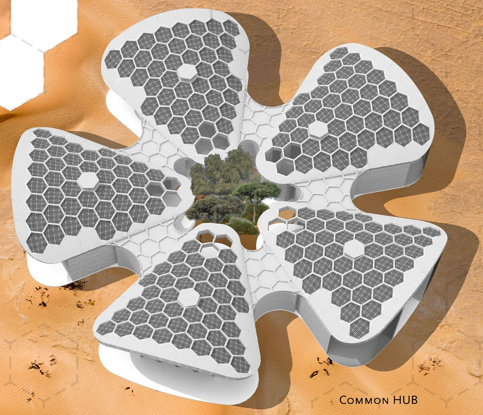 Common hub is formed with 5 modules of a building shape similar to eco lodges