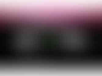 programa de testagem de ingredientes cha verde herbalife