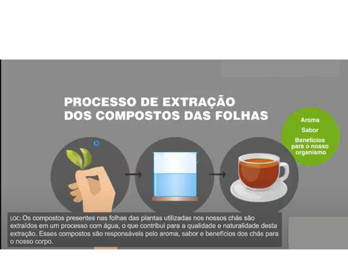 extracao do cha verde com agua