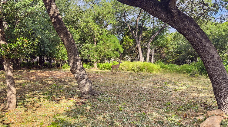 Photo Jun 24 2025, 9 44 16 AM.jpg