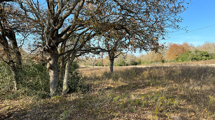 Photo Dec 07, 2 42 53 PM.jpg