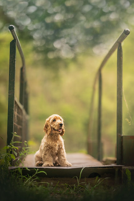 A9100424-Edit.jpg
