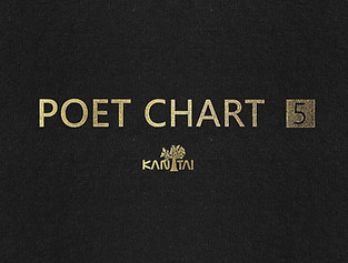 CAPA POET CHART 5.jpg