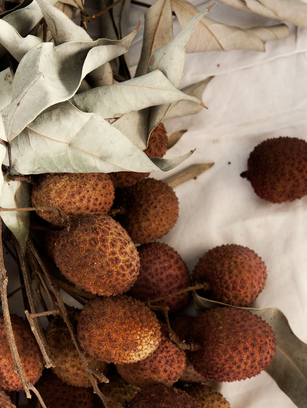 Foraging For Natural Elements.