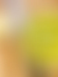 Creamy Asparagus Parmesan Soup with a Zesty Twist of Lemon.