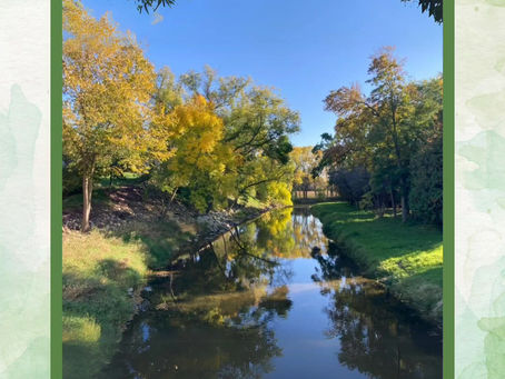 Daily Verse for Tuesday June 11th 2024