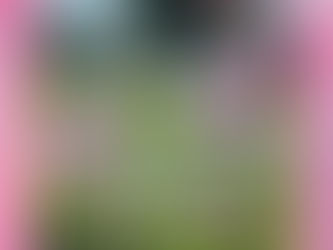 Daily Verse for Thursday June 27th 2024