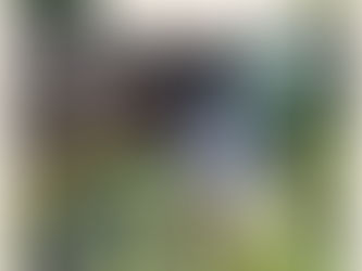 Daily Verse for Thursday October 3rd 2024