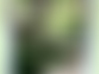 Daily Verse for Saturday February 15th 2025