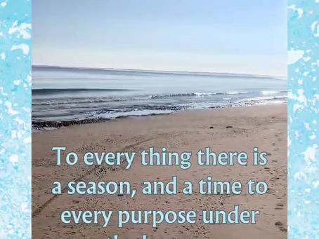 Daily Verse for Sunday November 24th 2024
