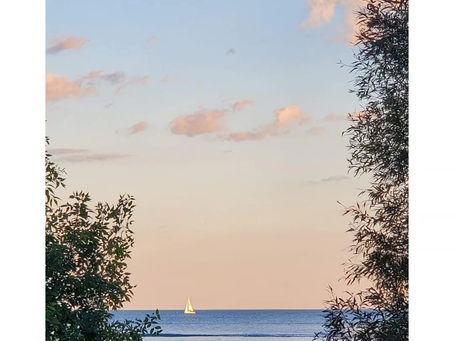 Daily Verse for Tuesday June 4th 2024