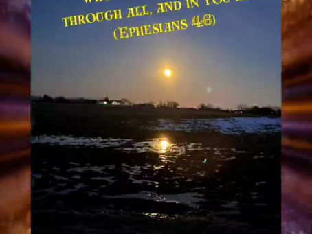 Daily Verse for Friday November 22nd 2024