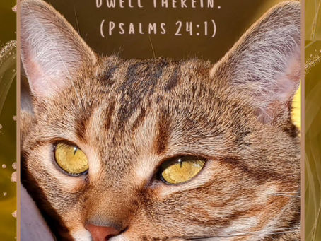 Daily Verse for Saturday July 27th 2024