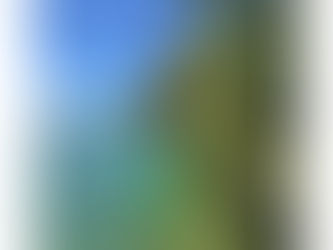 Daily Verse for Saturday June 8th 2024