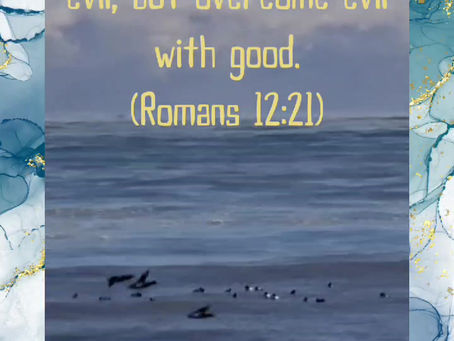 Daily Verse for Friday September 13th 2024