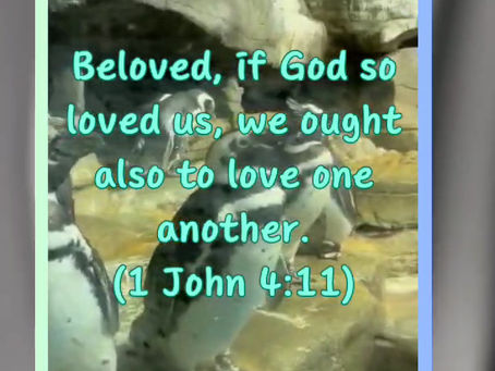 Daily Verse for Tuesday July 2nd 2024