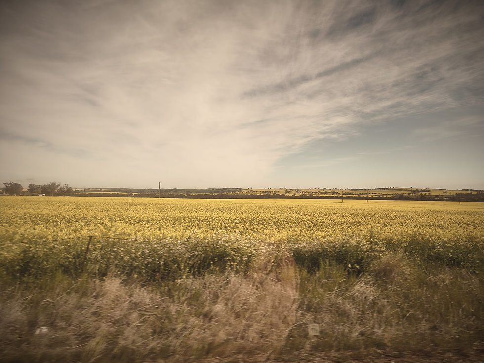 Australian Agriculture Is Getting Connected. Let's Get the Basics Right First. Part 2