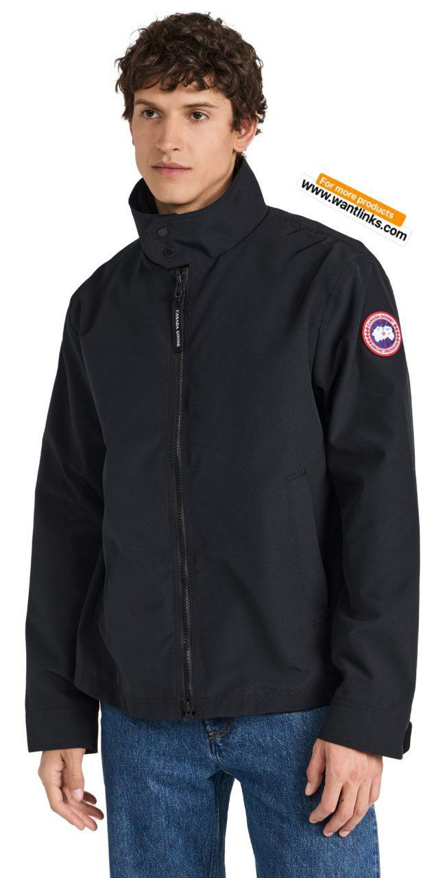 Miniaturbild: Canada Goose