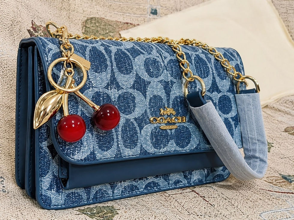 Miniature : Coach Bag
