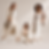 Women Catalogue.png