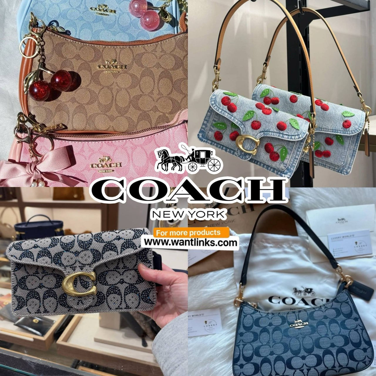 Lista de Bolso Coach