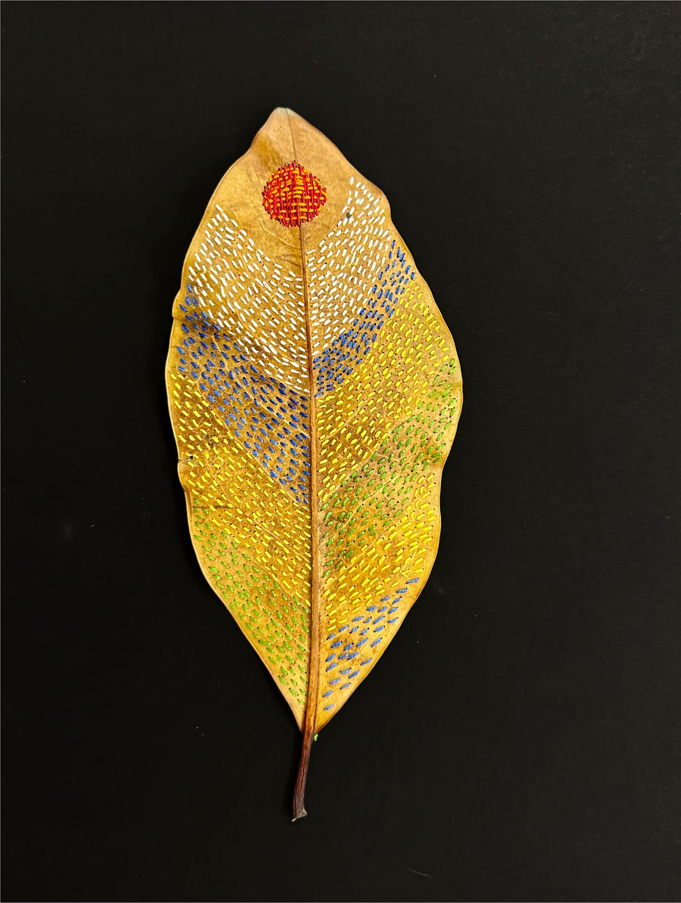 Thu Ho_Image8