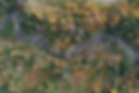 DJI_0184.JPG