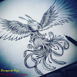 BOSQUEJO AGUILA