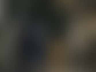 The History of the Ultramarines in Warhammer 40K