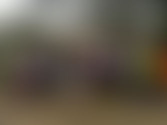 Trotters Trail Race - Results and Photos