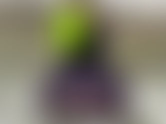 HORSMAN PULLS IN THE NEW YEAR