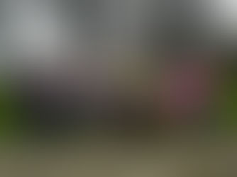 Off-Road Club Championship - Pike Race Results