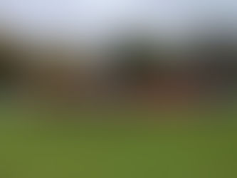 Cross Country Results - Clarke Gardens