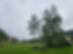 Élagage d'arbres, jardin Coutarbre