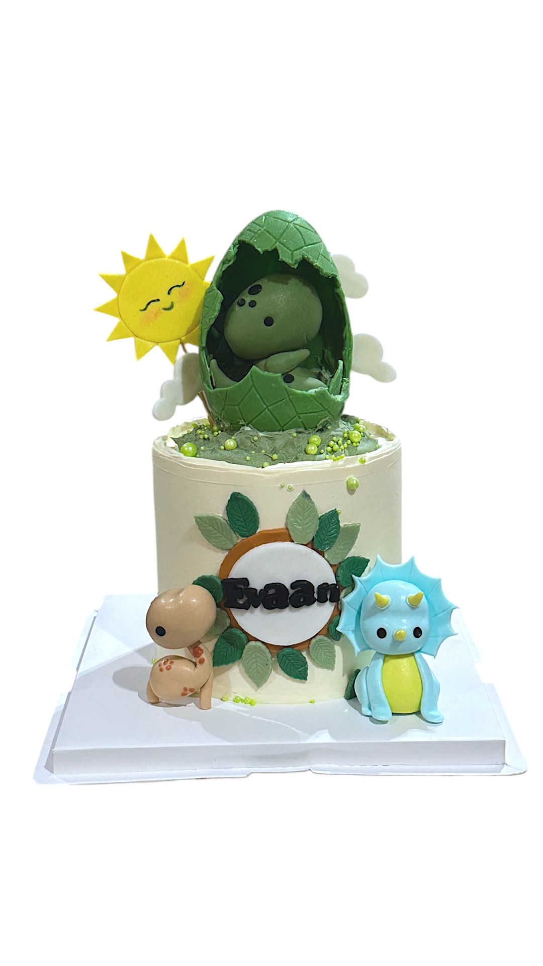 Dinosaur Cake