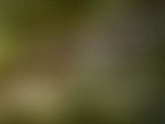 Supere os Obstáculos