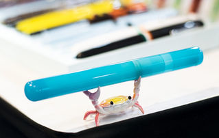 VAZIR POP - HOLI SPECIAL