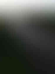 D1F675E3-7966-4007-B28D-7C2EE5209B91