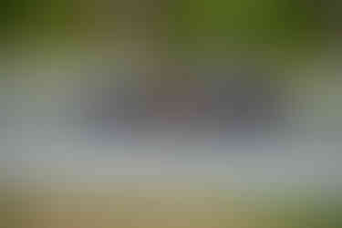 _JB16536.JPG