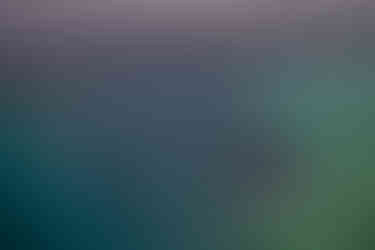 7EC766DF-46C6-486D-BA05-93A1FA4AB7B5_1_201_a