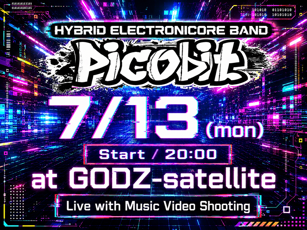 PICOBIT