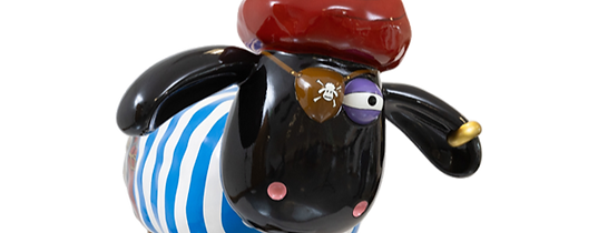 captain-ewen-barbarossa-shaun-on-the-tyn