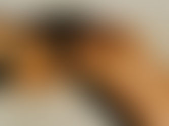 Attraktive Frauen - Was macht Frauen wirklich anziehend?