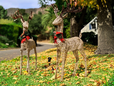 Reindeer lawn decor