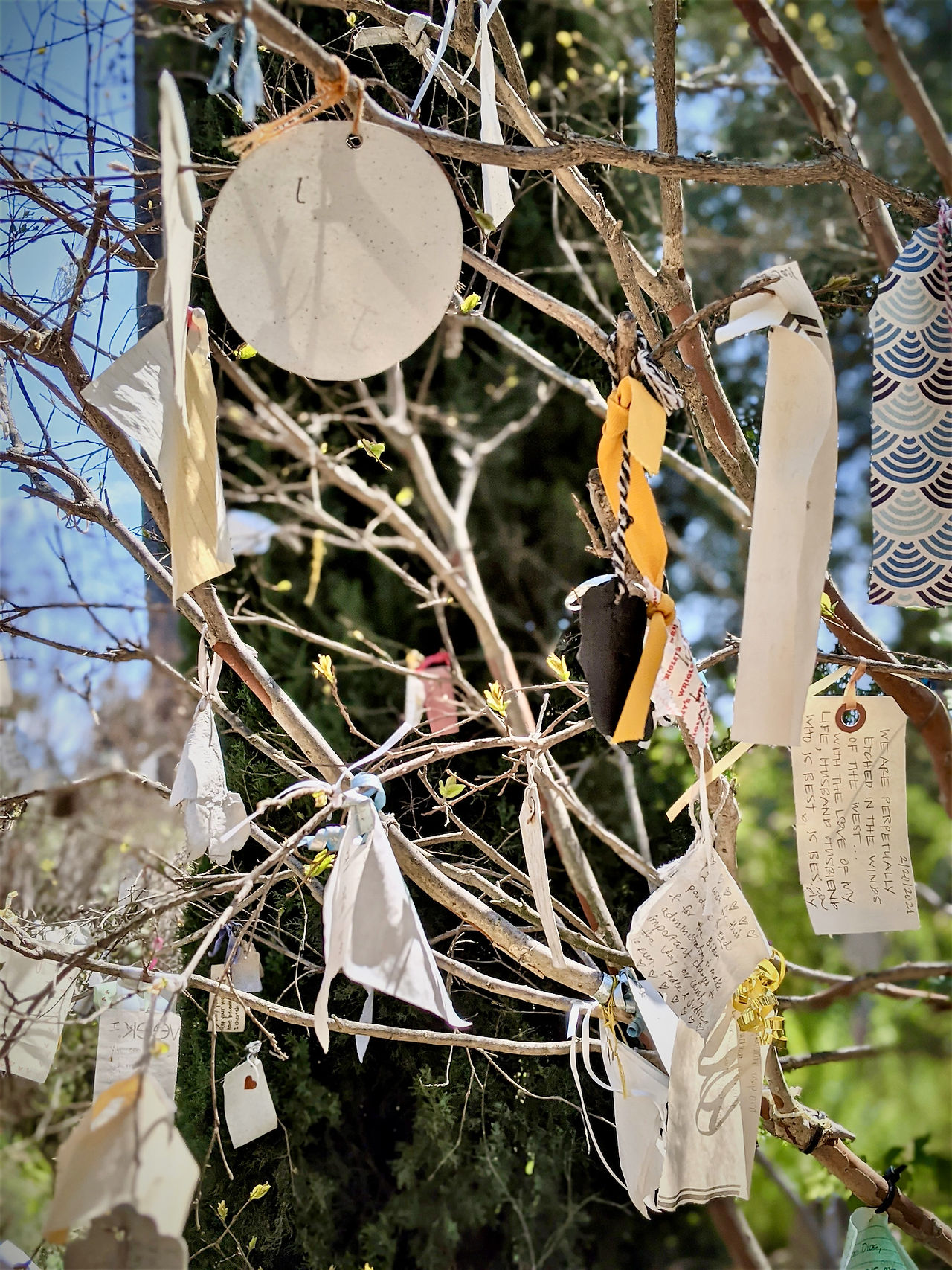Arlington Garden - Hopes and wishes hang from tree
