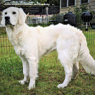 Paloma: 10 Months Old