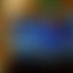 October 29, 2020