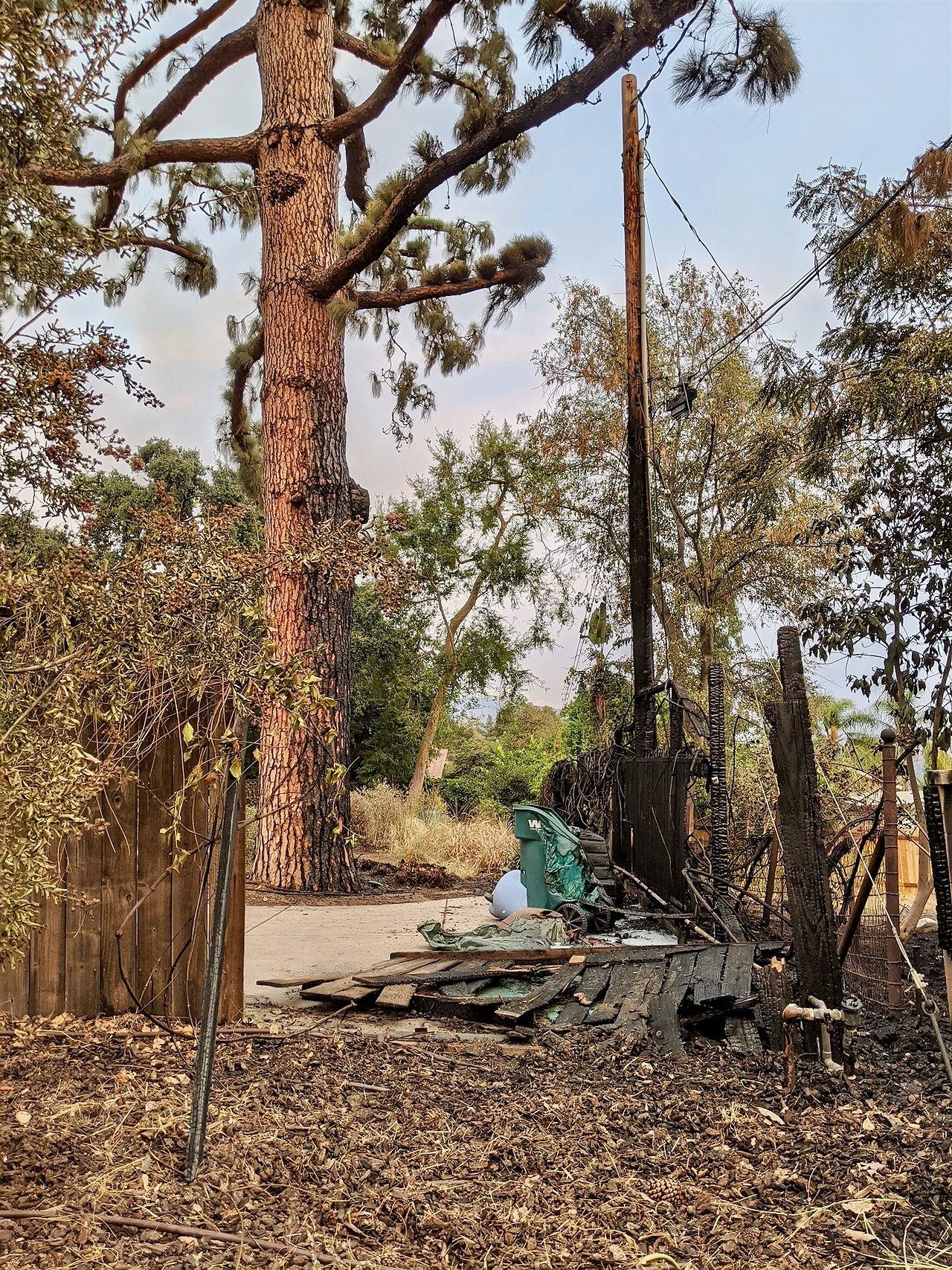 Charred remains of small Sierra Madre fire