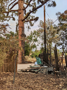 Charred remains of small Sierra Madre fire